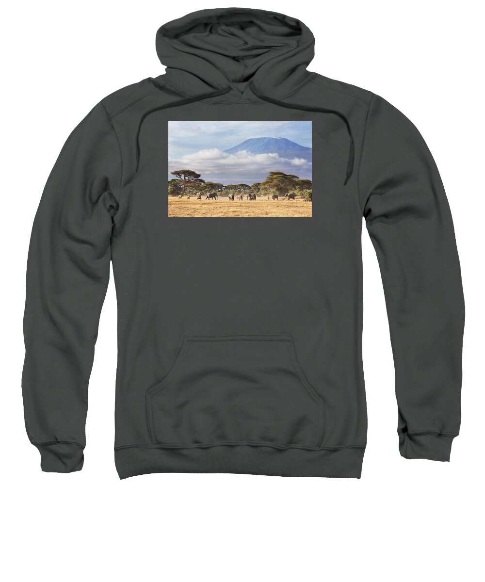 Nis Sweatshirt featuring the photograph Mount Kilimanjaro Amboseli by Richard Garvey-Williams