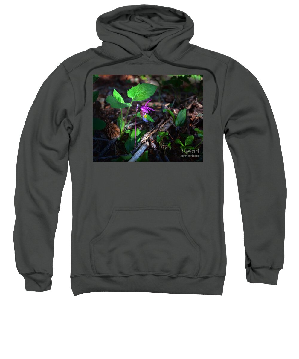 Calypso Orchid Sweatshirt featuring the photograph Mountain Orchid by Jim Garrison