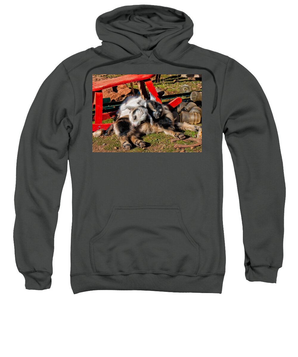 Baby Goats Sweatshirt featuring the photograph Napping with a Friend by Kathleen Bishop