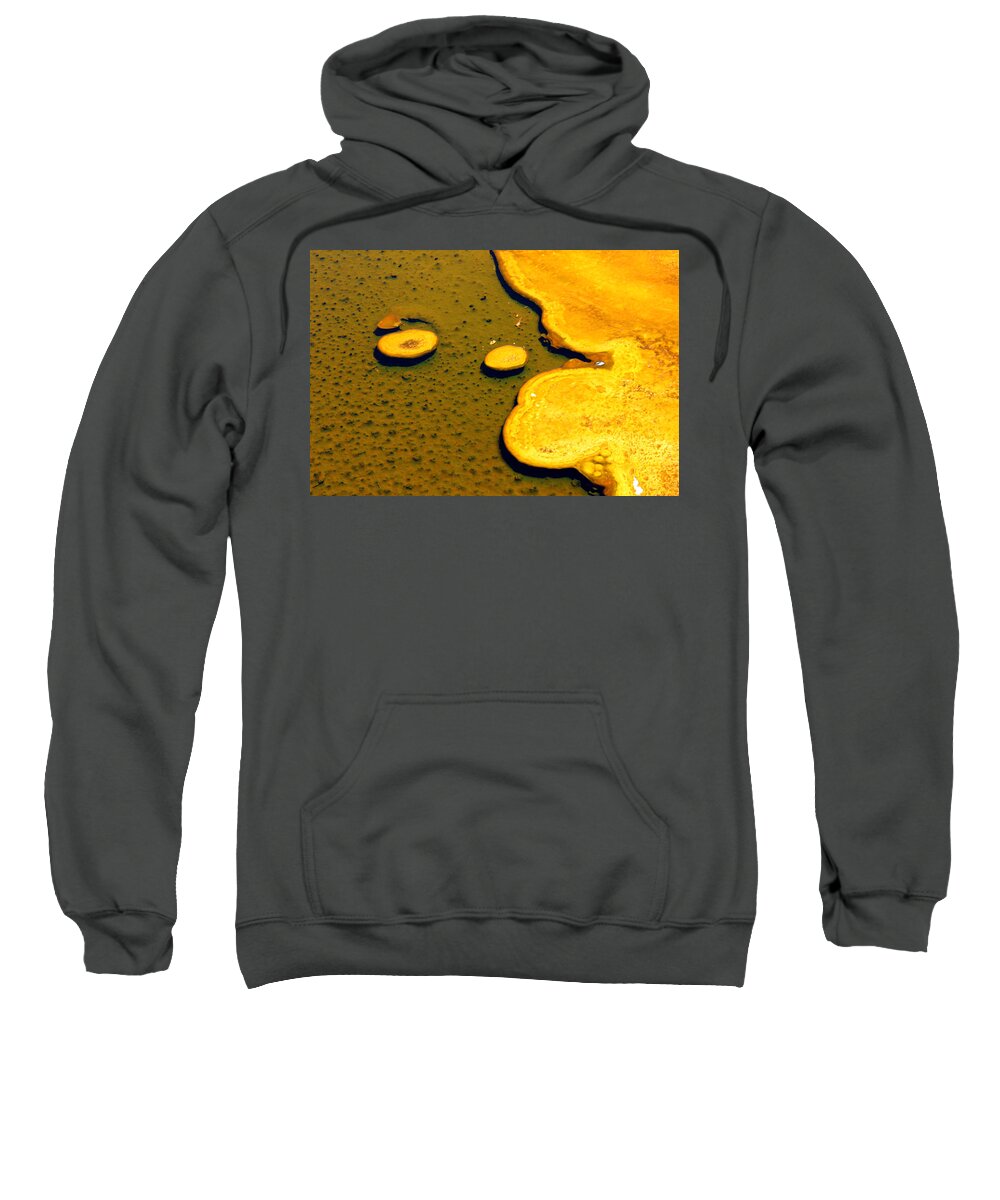 Natural Abstract Sweatshirt featuring the photograph Natural Abstract by Josh Bryant