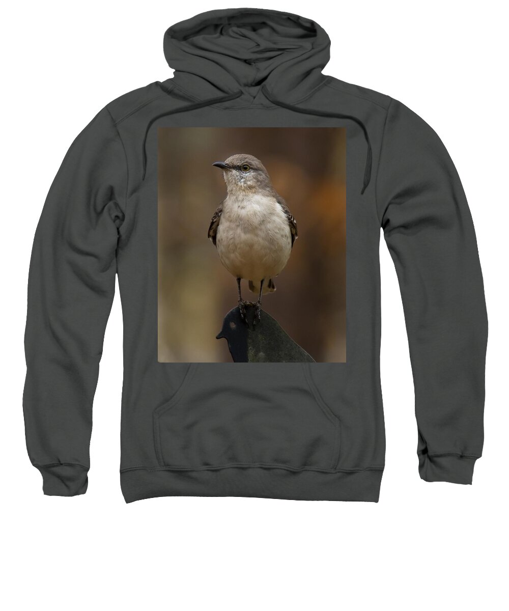 Northern Mockingbird Sweatshirt featuring the photograph Northern Mockingbird by Robert L Jackson