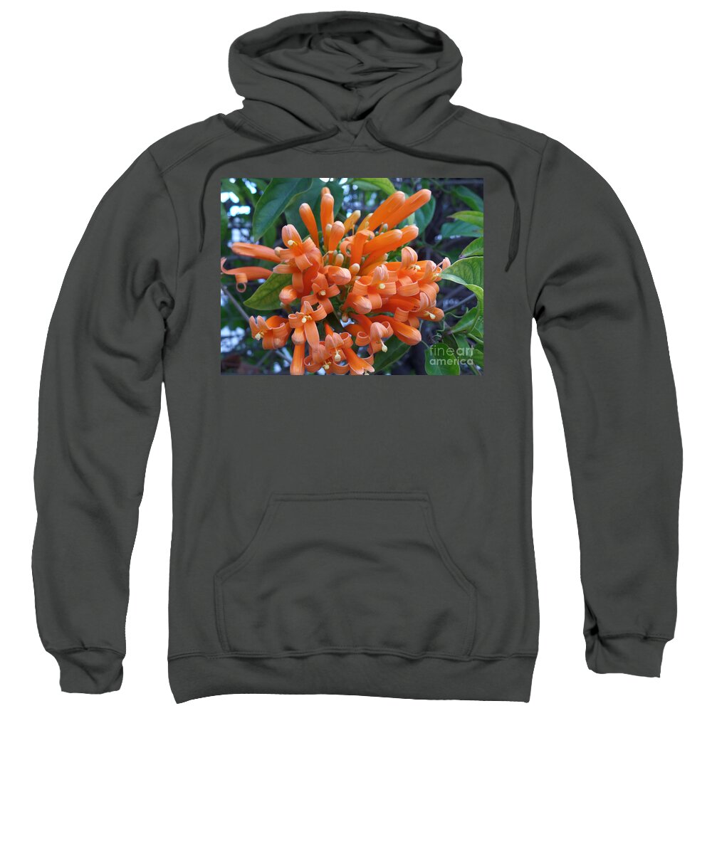 Flower Sweatshirt featuring the photograph Orange Petals by HEVi FineArt