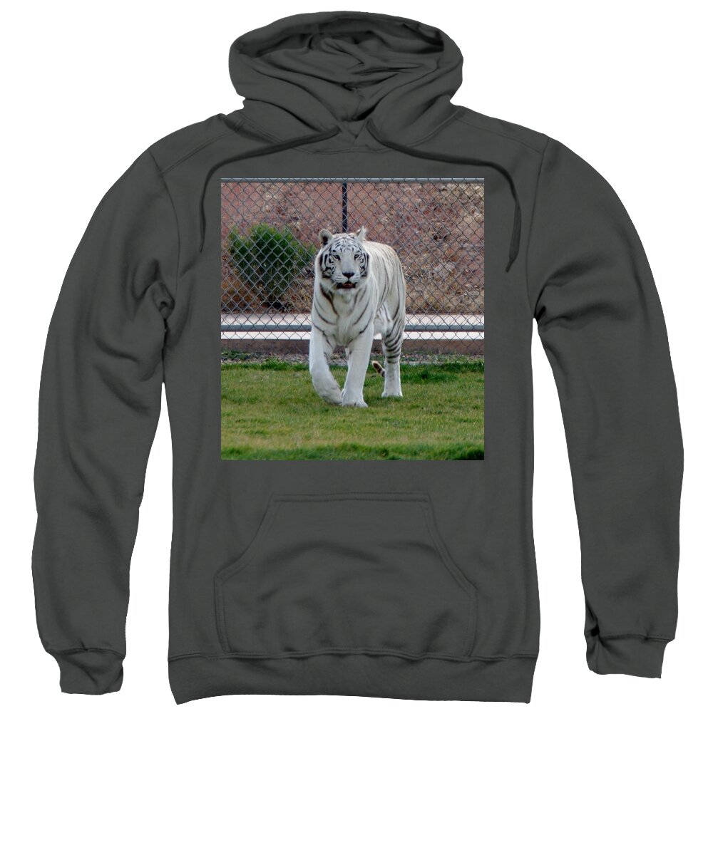 Tiger Sweatshirt featuring the photograph Out of Africa White Tiger by Phyllis Spoor