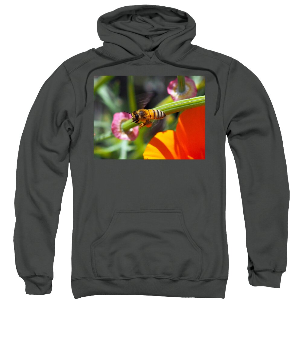 Spring Sweatshirt featuring the photograph Packin Poppy Pollen by Joe Schofield