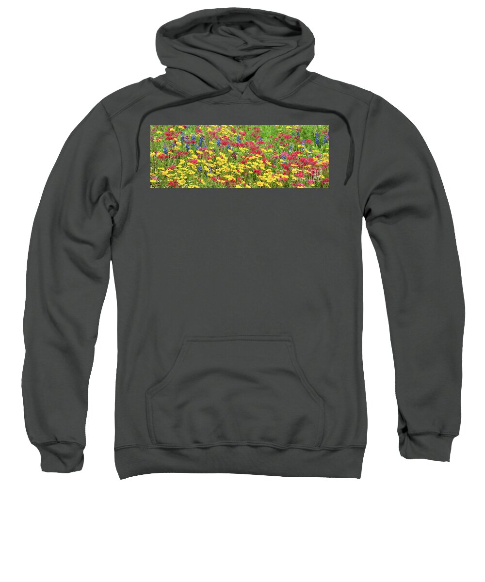North America Sweatshirt featuring the photograph Panorama Field of Wildflowers Texas by Dave Welling