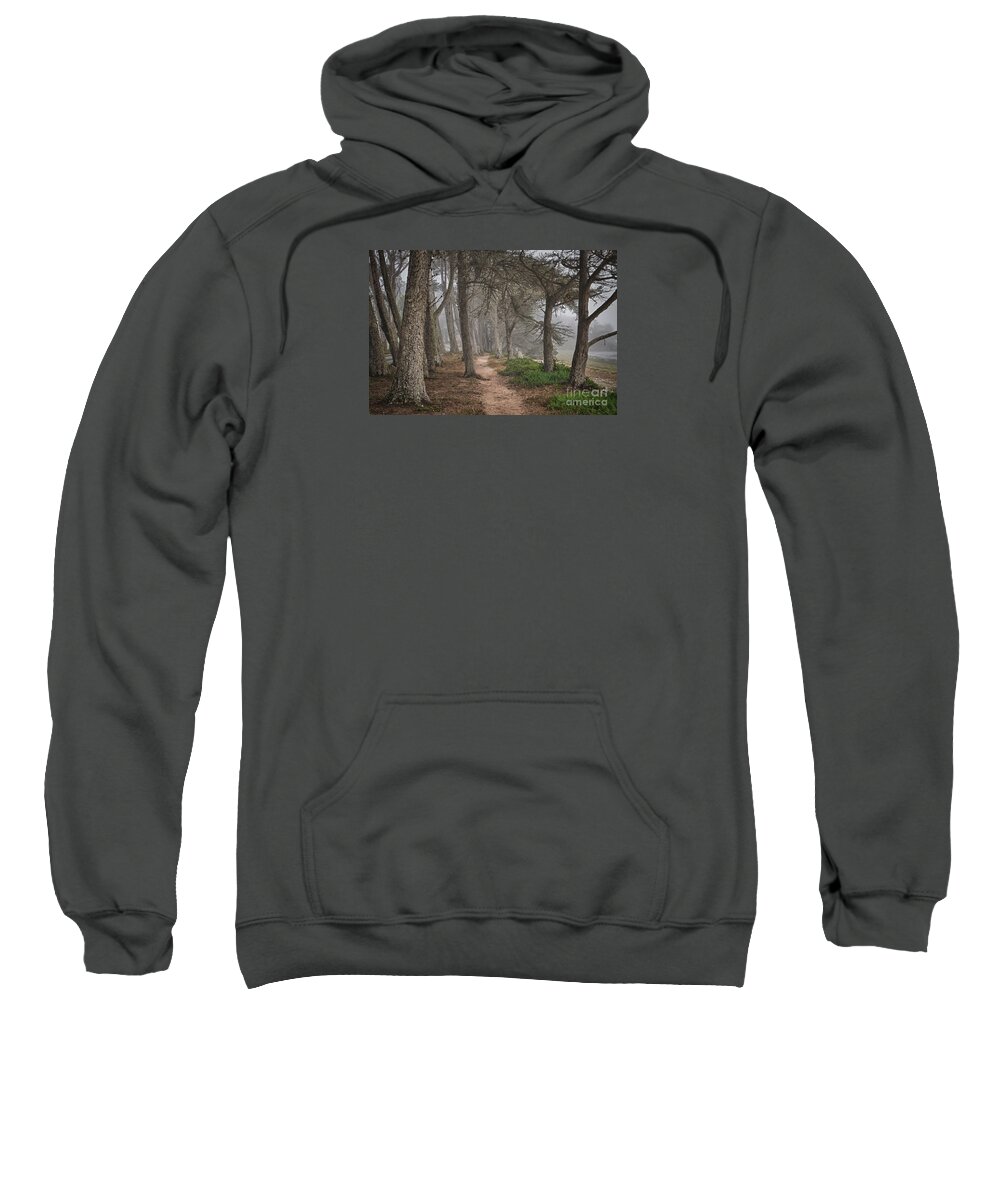 California Sweatshirt featuring the photograph Pathway by Alice Cahill