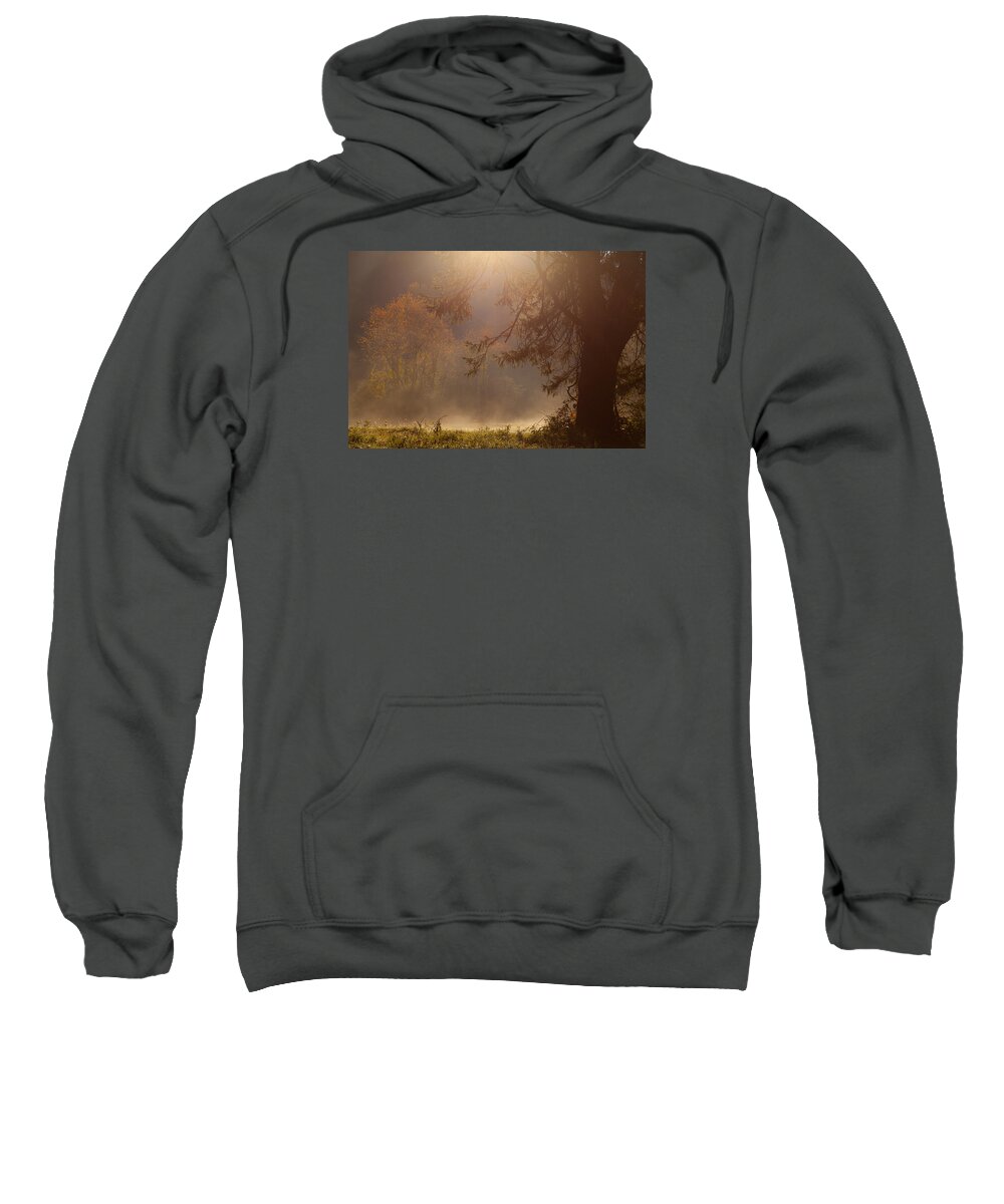 Tree Sweatshirt featuring the photograph Peaceful Moments by Karol Livote