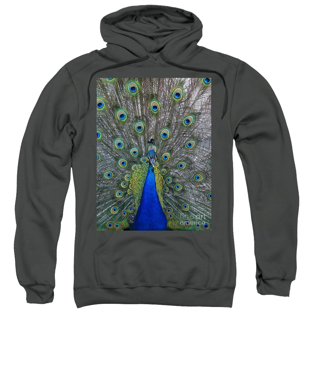 Peacock Sweatshirt featuring the photograph Peacock by Steven Ralser