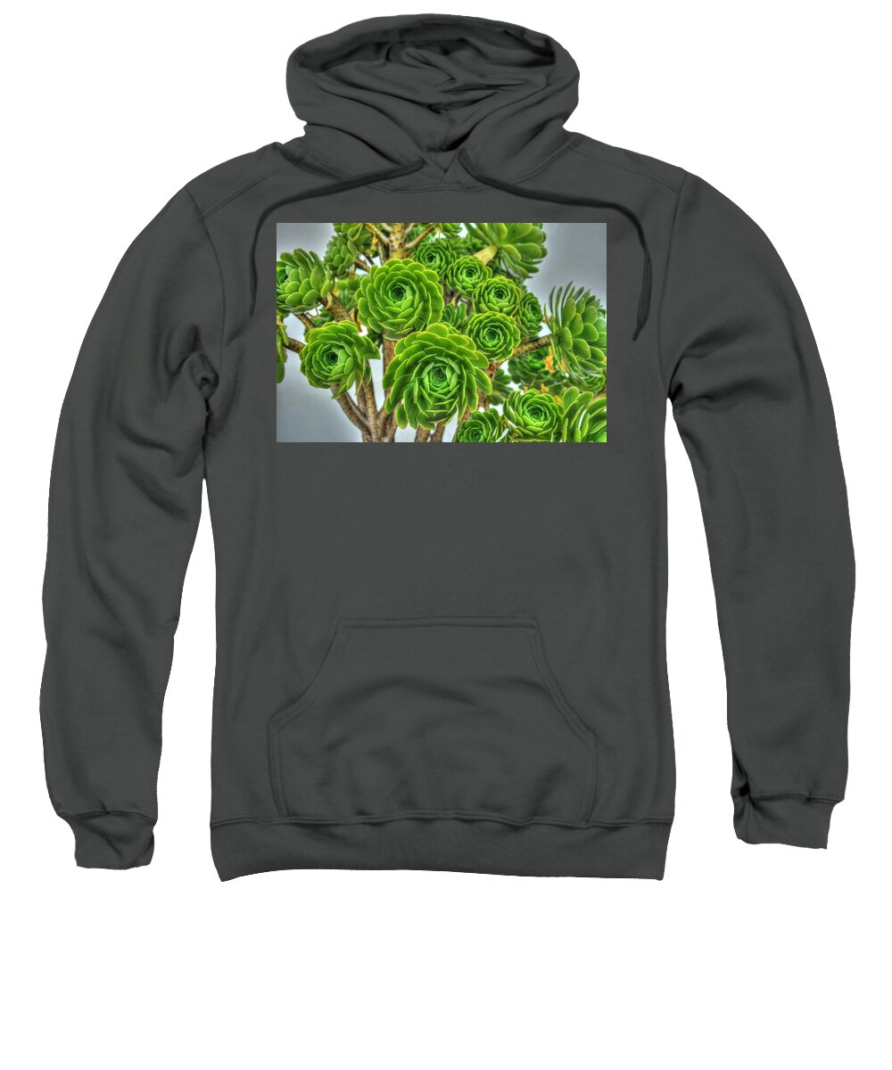 Floral Sweatshirt featuring the photograph Pedals of Green by Richard Gehlbach