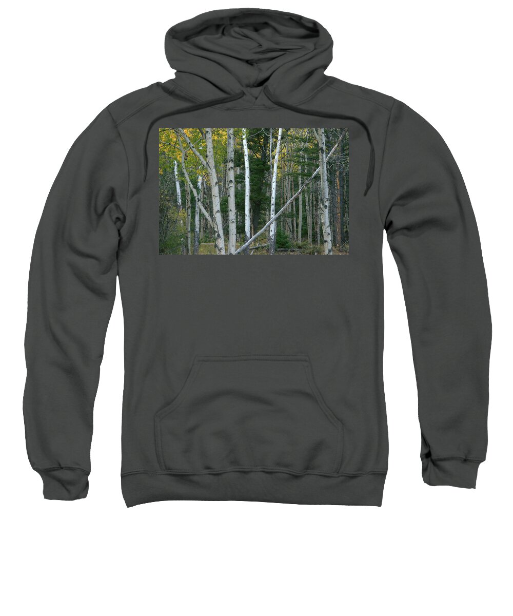 Gold Sweatshirt featuring the photograph Perfection In Nature by Frank Madia