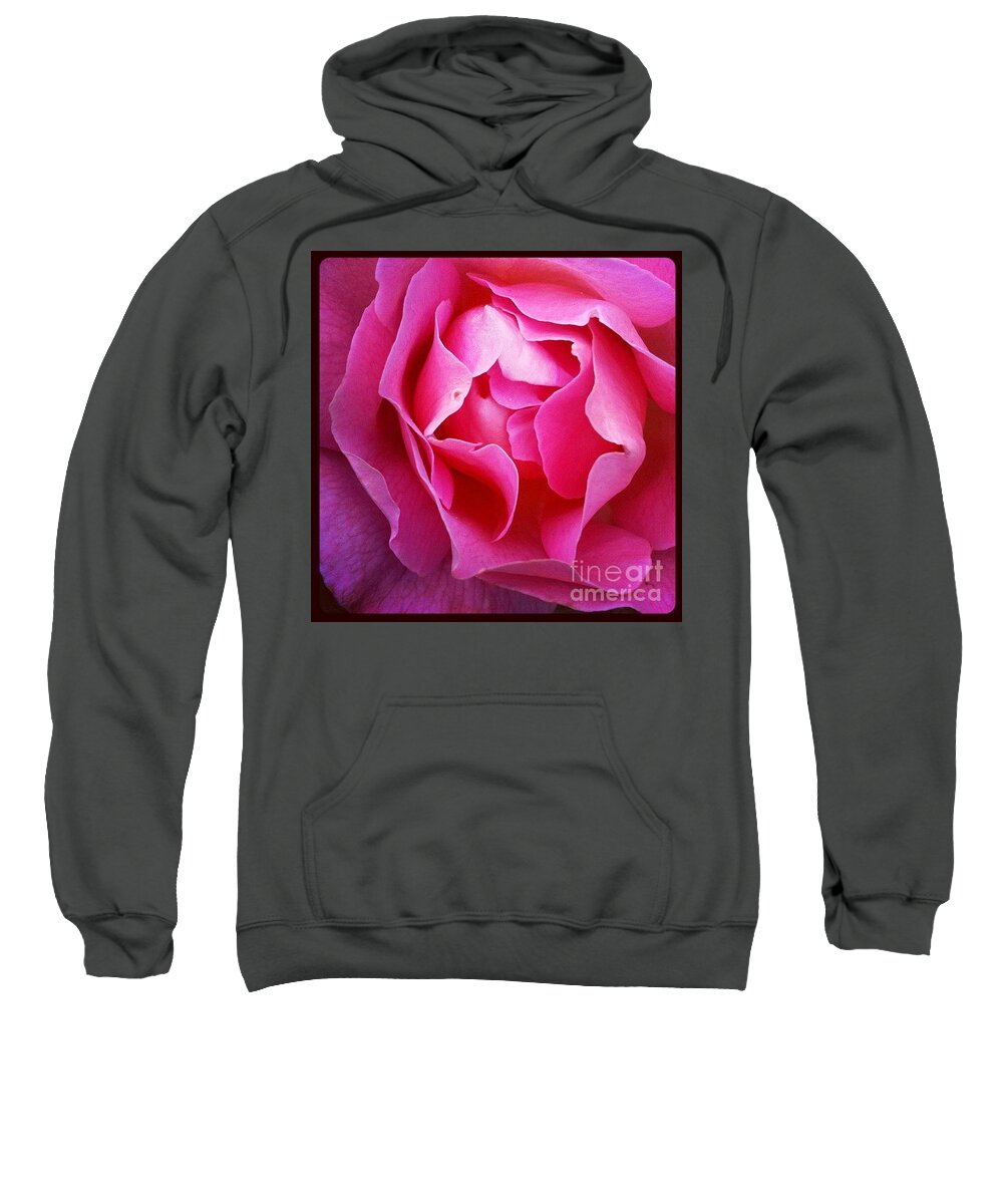 Rose Sweatshirt featuring the photograph Petal Soft by Denise Railey