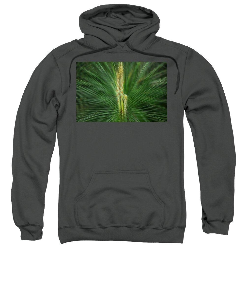 Pine Sweatshirt featuring the photograph Pine Cone and Needles by Phyllis Meinke
