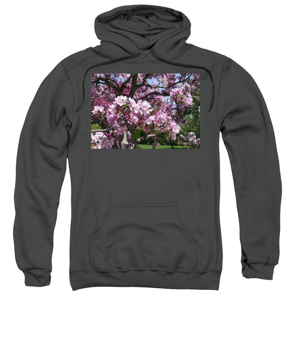 Invitation Sweatshirt featuring the photograph Pink Crabapple by Laurie Eve Loftin