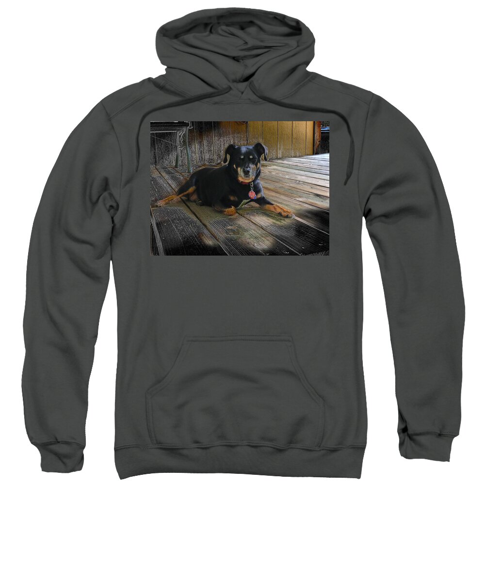 Dog Sweatshirt featuring the photograph Porch Patrol by John Duplantis