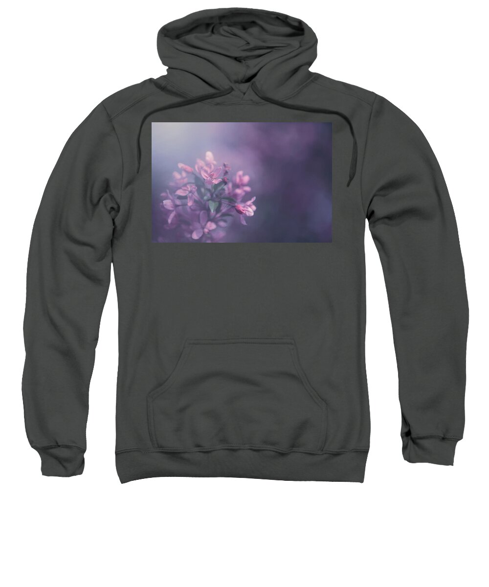 Purple Sweatshirt featuring the photograph Purple by Carrie Ann Grippo-Pike