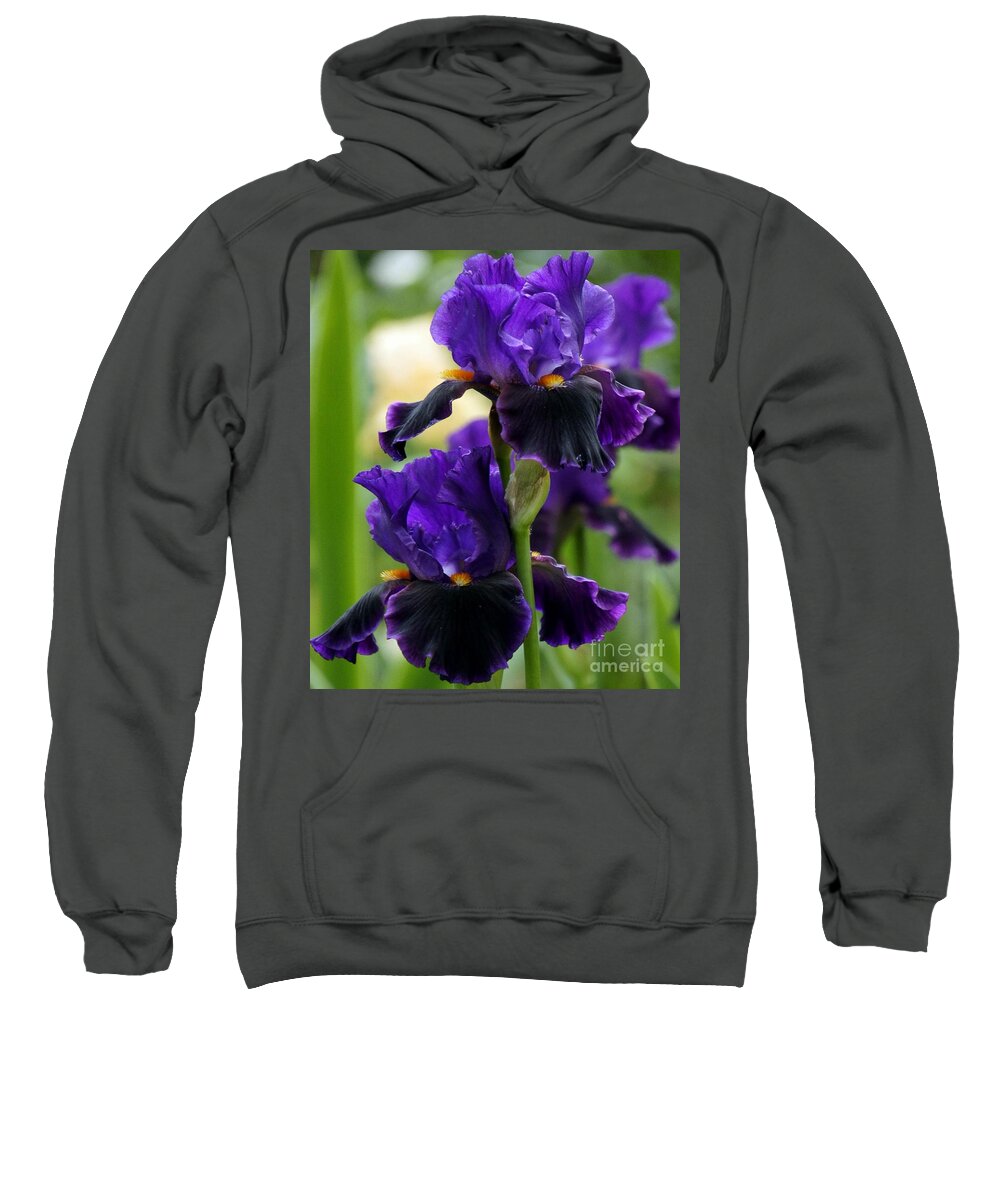 Purple Sweatshirt featuring the photograph Purple Majesty by Lilliana Mendez