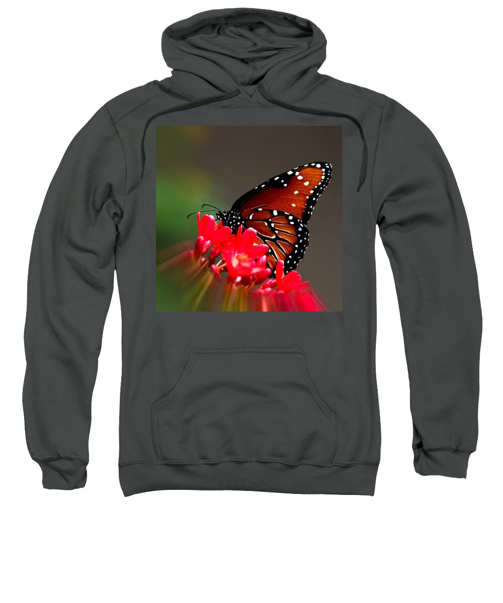 :penny Lisowski Sweatshirt featuring the photograph Queen Butterfly II by Penny Lisowski