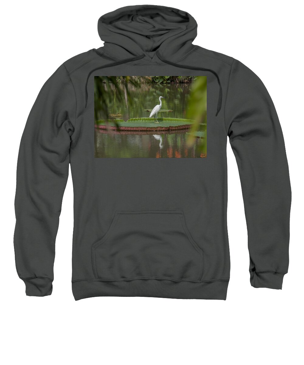 Nature Sweatshirt featuring the photograph Queen Victoria Water Lily Pad with Little Egret DTHB1618 by Gerry Gantt