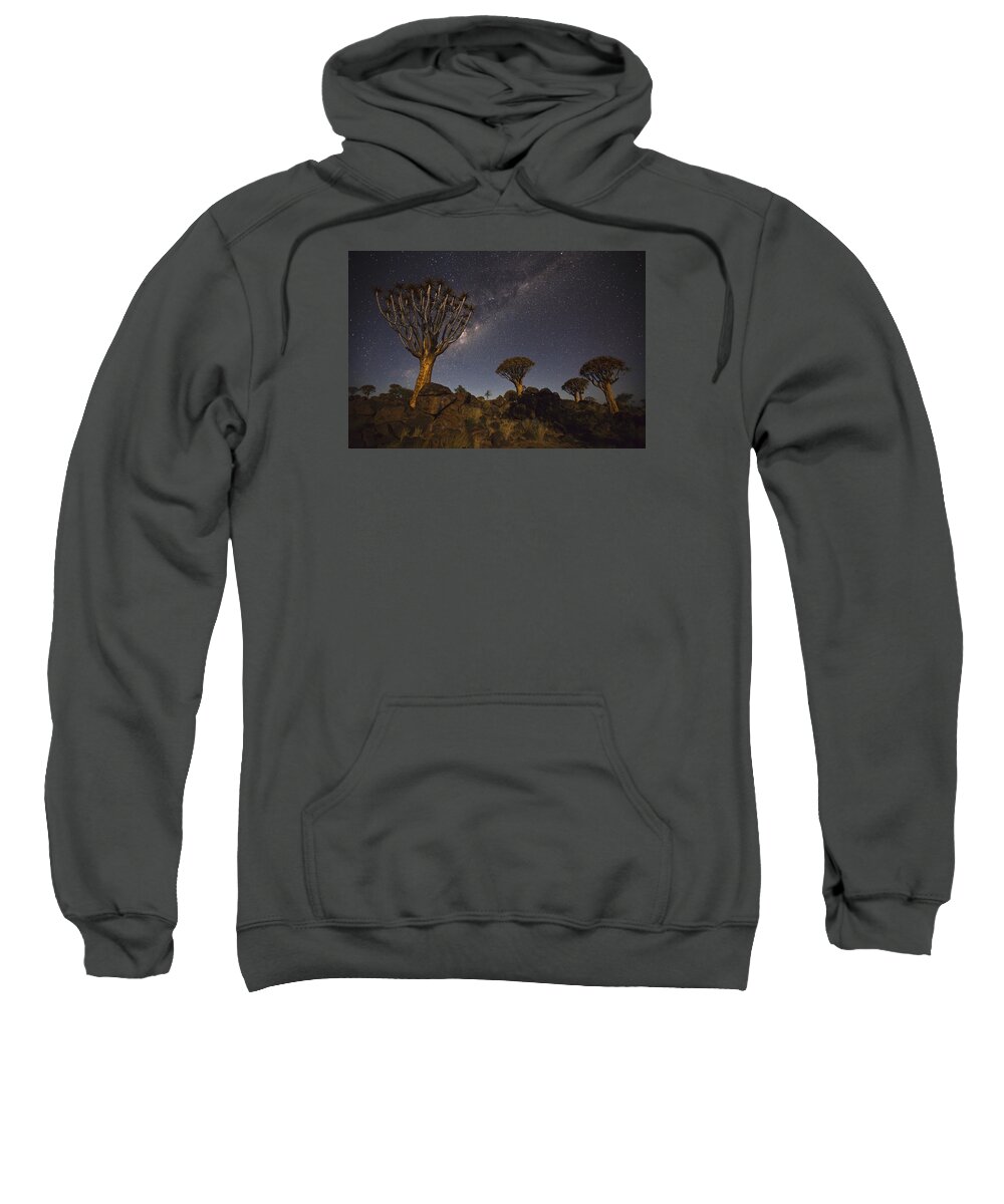 Vincent Grafhorst Sweatshirt featuring the photograph Quiver Trees andThe Milky Way by Vincent Grafhorst