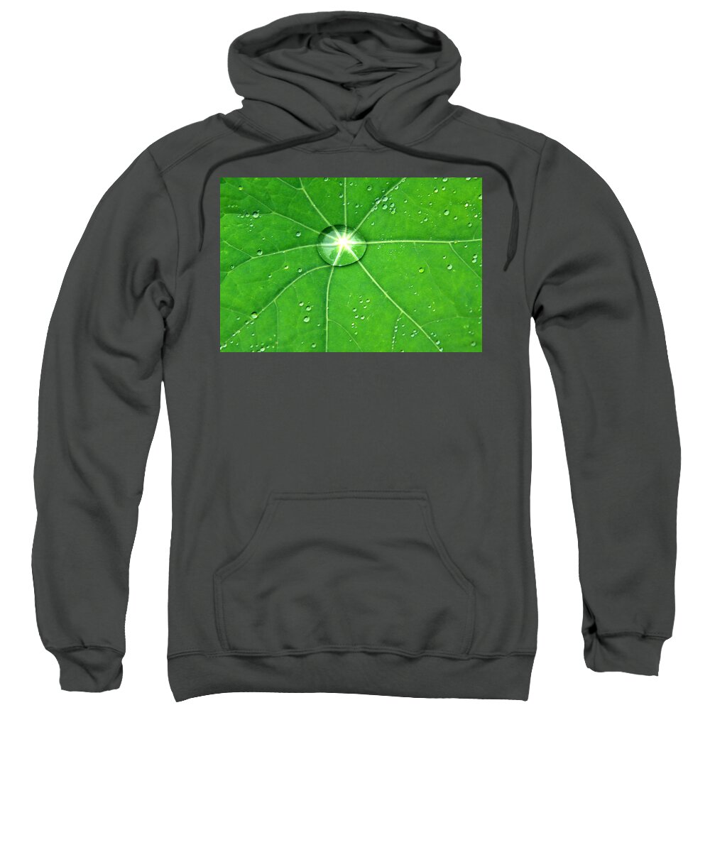  Green Leaf Sweatshirt featuring the photograph Raindrop Junction by Aidan Moran