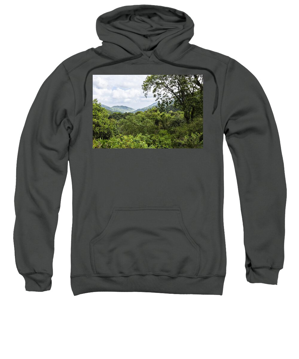 Konrad Wothe Sweatshirt featuring the photograph Rainforest Trinidad West Indies by Konrad Wothe