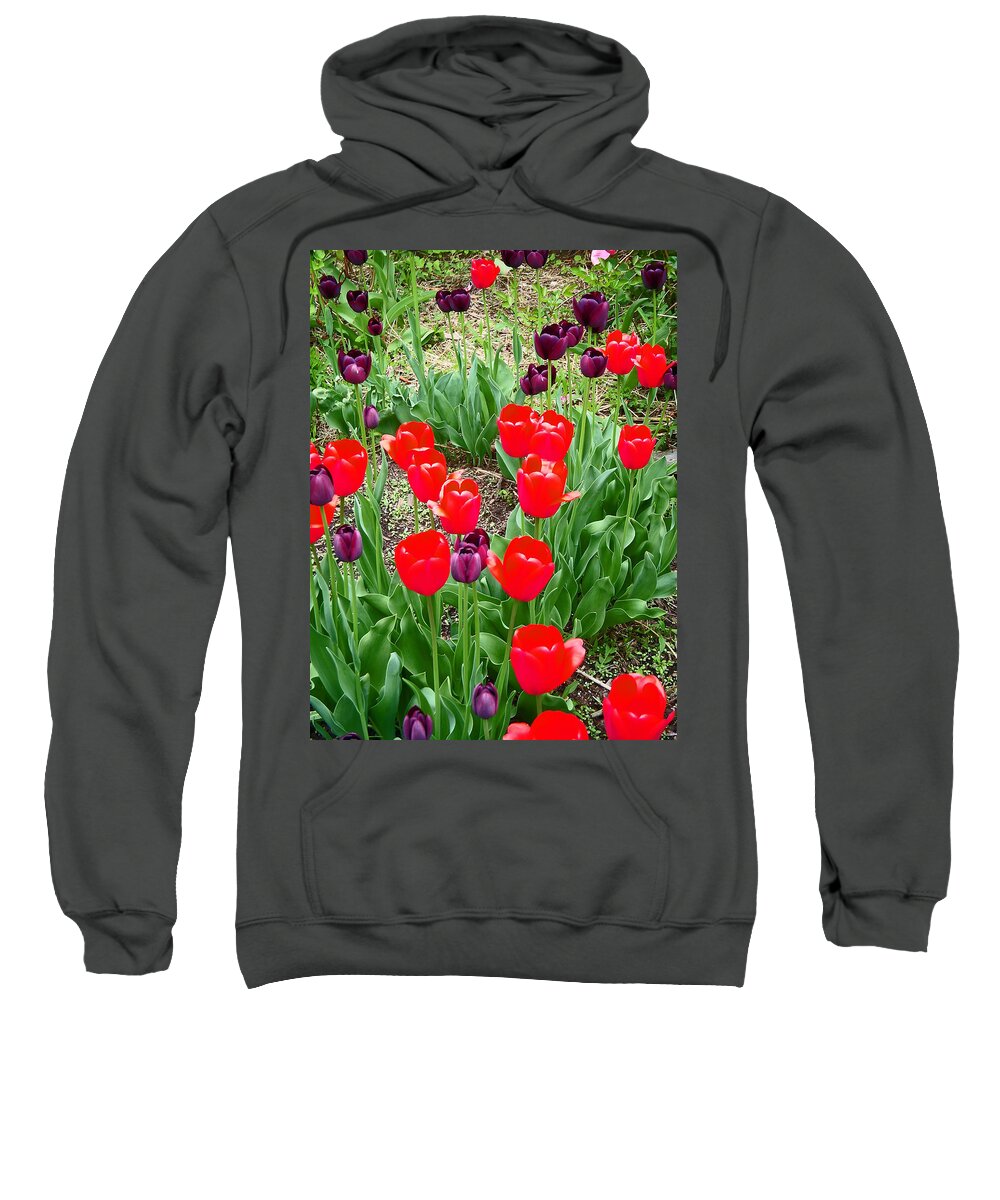 Red Tulips Sweatshirt featuring the photograph Red and Purple Tulips by Aimee L Maher ALM GALLERY