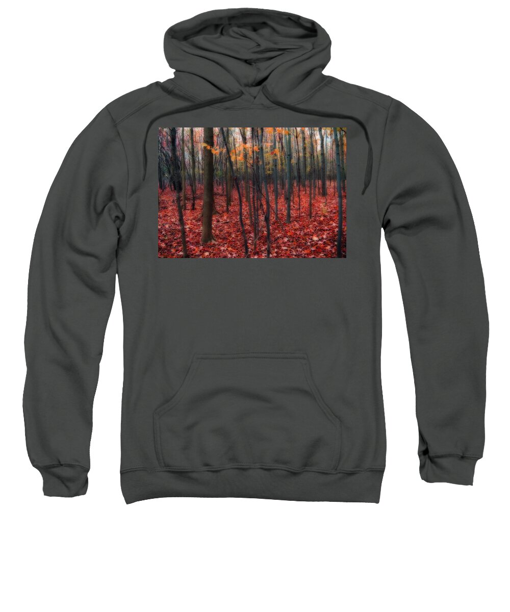 Autumn Sweatshirt featuring the photograph Red Forest by Gothicrow Images
