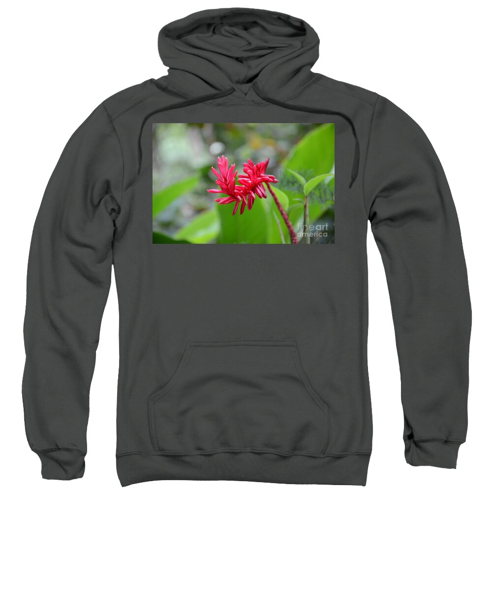 Red Ginger Sweatshirt featuring the photograph Red Ginger by Laurel Best