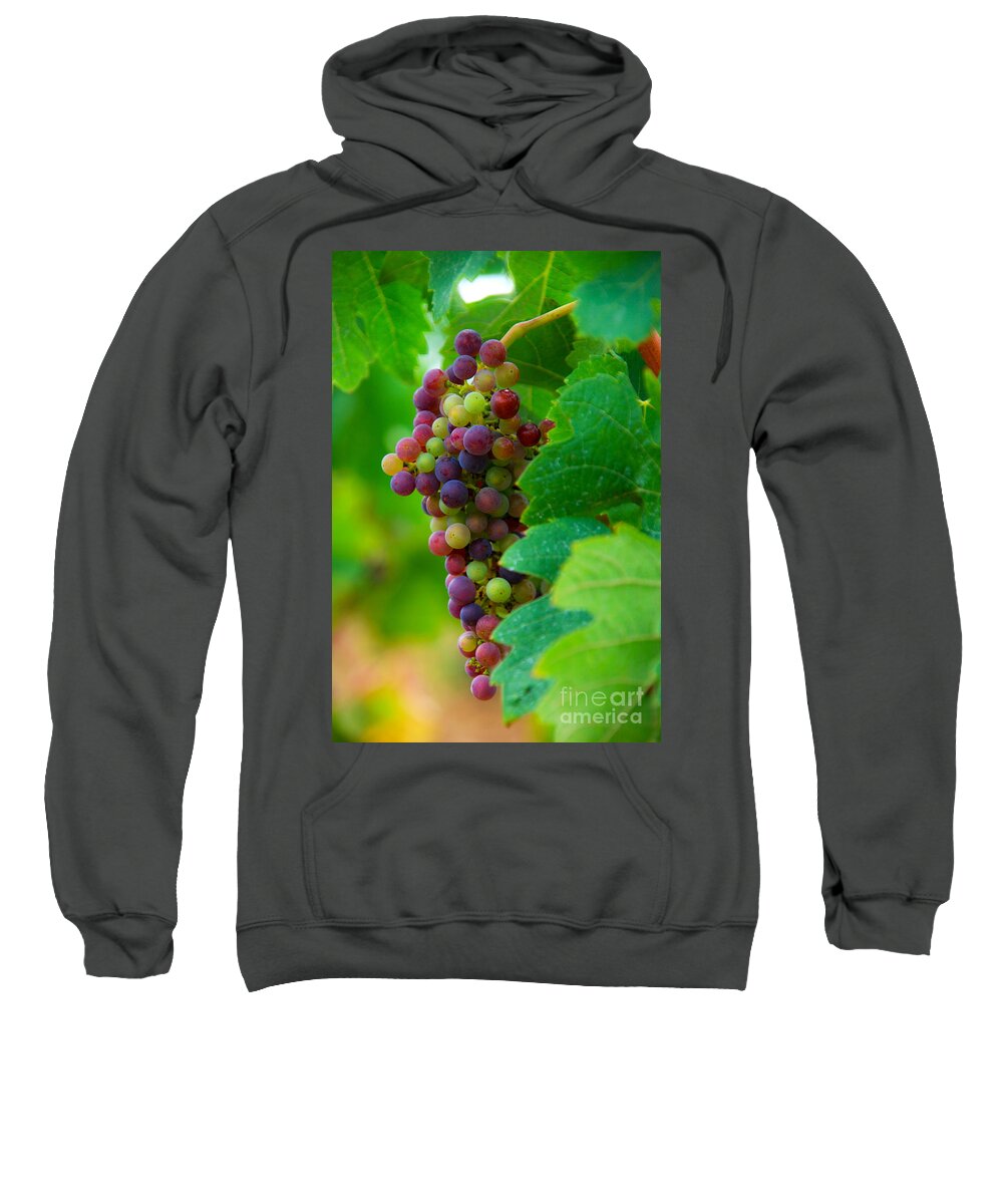 Bordeaux Sweatshirt featuring the photograph Red Grapes by Hannes Cmarits