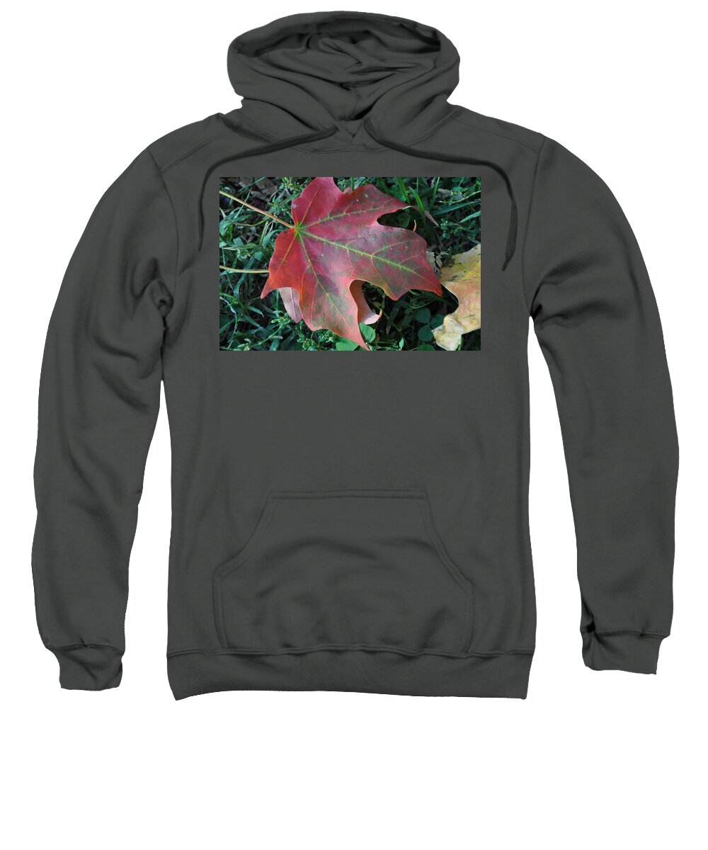 Red Sweatshirt featuring the photograph Red Leaf by Frank Madia