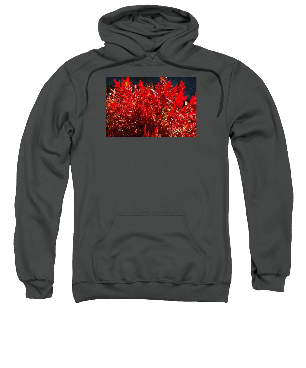 Linda Brody Sweatshirt featuring the photograph Red Leaves by Linda Brody