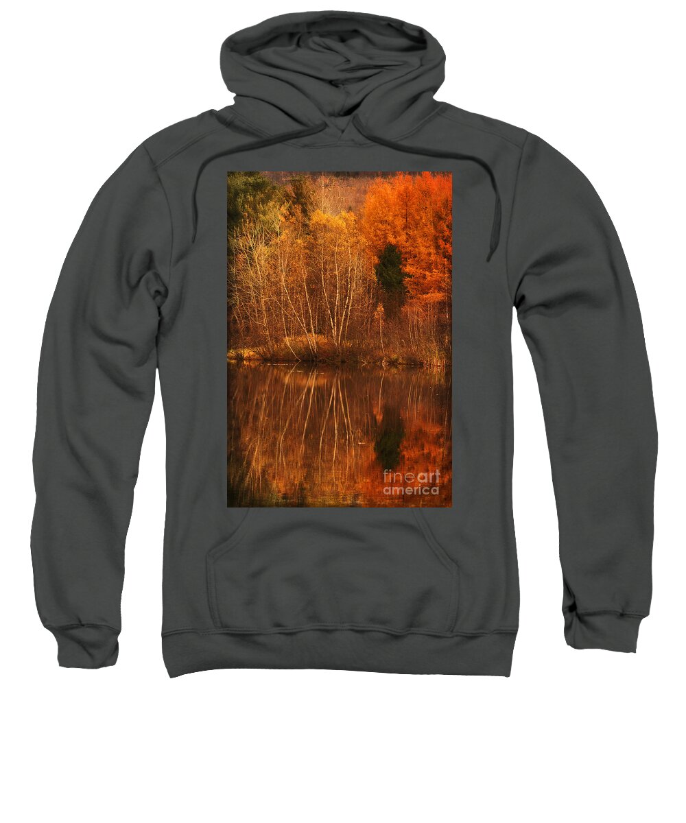 Autumn Sweatshirt featuring the photograph Restes d'Automne by Aimelle Ml