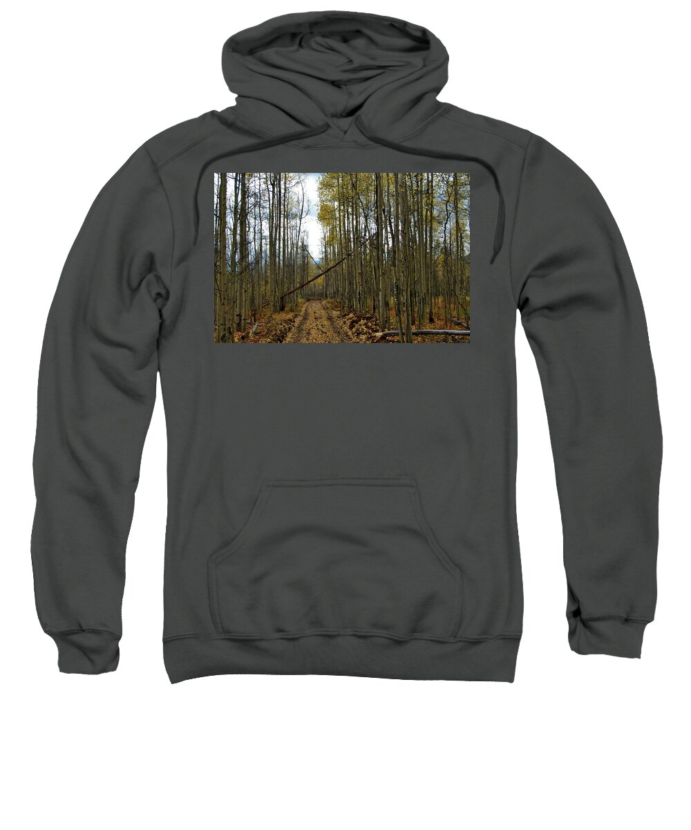 Landscapes Sweatshirt featuring the photograph Road To Zion by Jeremy Rhoades