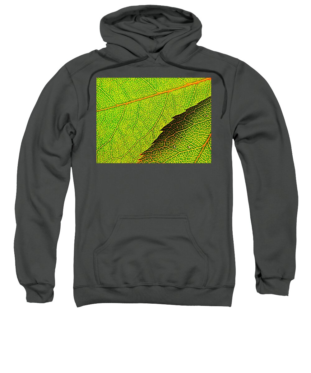 Nature Sweatshirt featuring the photograph Rose Foliage Number Two by Chris Berry