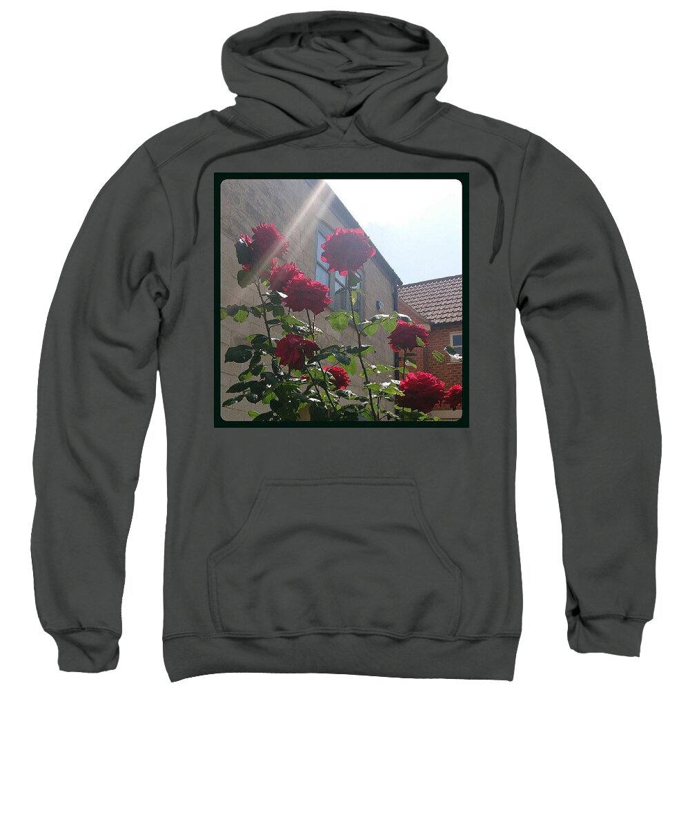 Roses Sweatshirt featuring the photograph Rose Garden by Sarah Qua