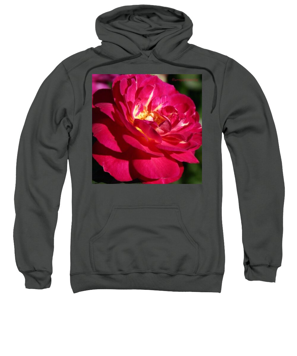 Rose Sweatshirt featuring the photograph Scarlet Red Rose by Anna Porter