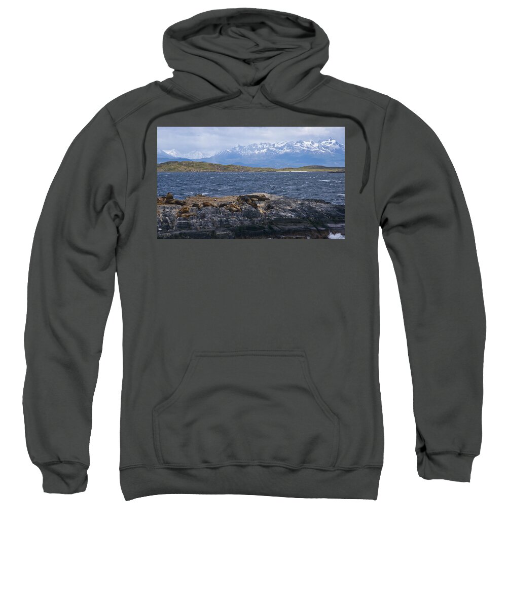 Darwin Mountains Sweatshirt featuring the photograph Sea Lions by Kent Nancollas