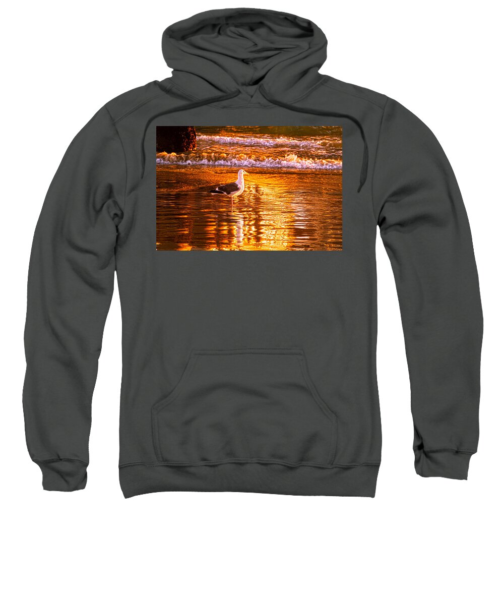 Seagull Sweatshirt featuring the photograph Seagul reflects on a Golden Molten Shore by Denise Dube