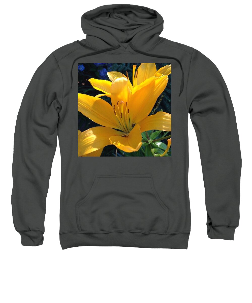 Summer Sweatshirt featuring the photograph Seize The Sunshine !! Have A Beautiful by Anna Porter