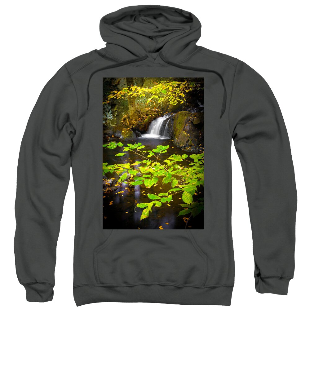 Leaves Sweatshirt featuring the photograph Silent Brook by Mark Rogers