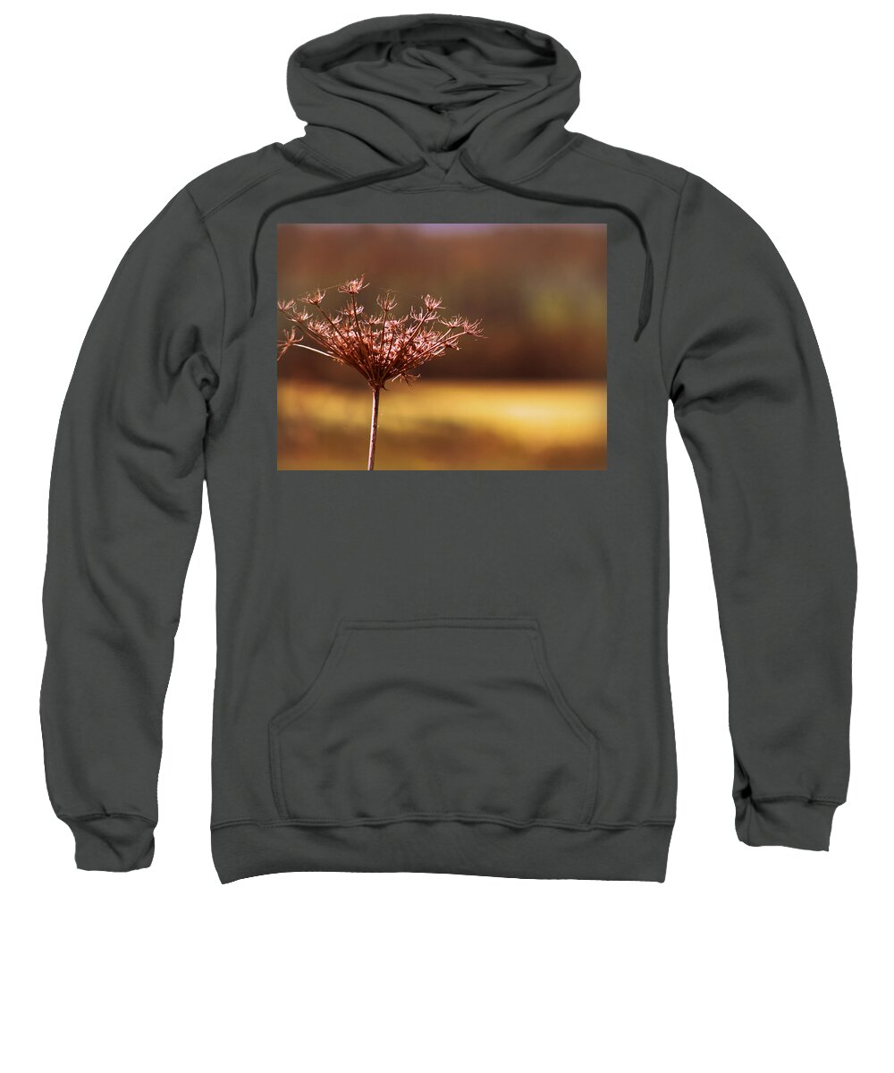 Simplicity Sweatshirt featuring the photograph Simplicity by Micki Findlay