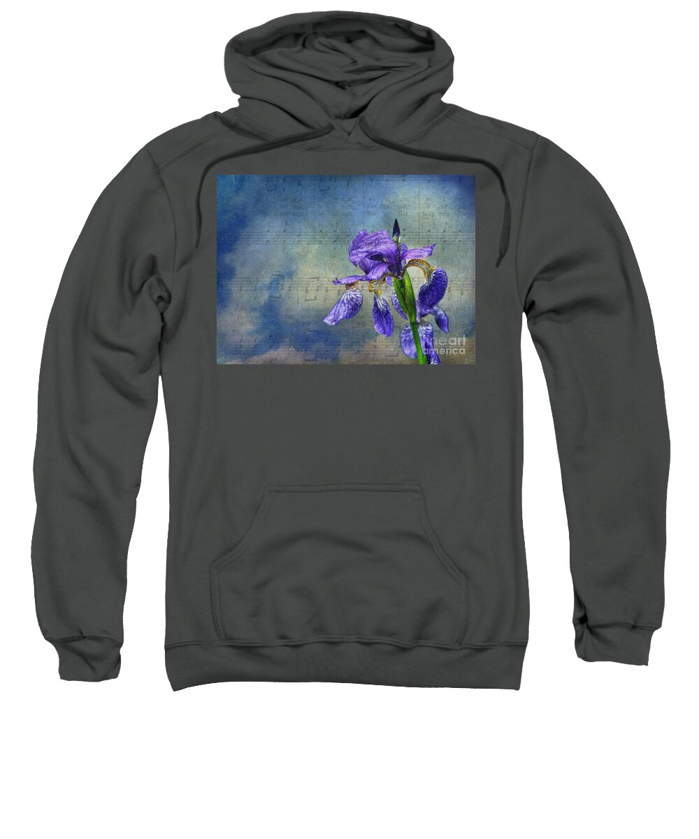 Iris Sweatshirt featuring the photograph Singing in the Rain by Andrea Kollo