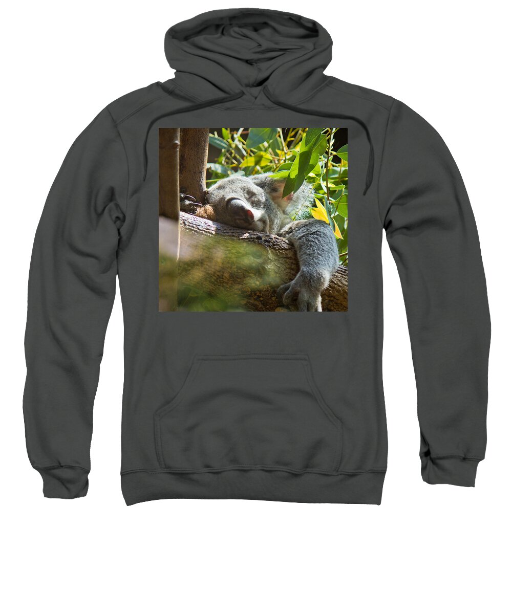 Sleep Sweatshirt featuring the photograph Sleeping Koala by Jonny D
