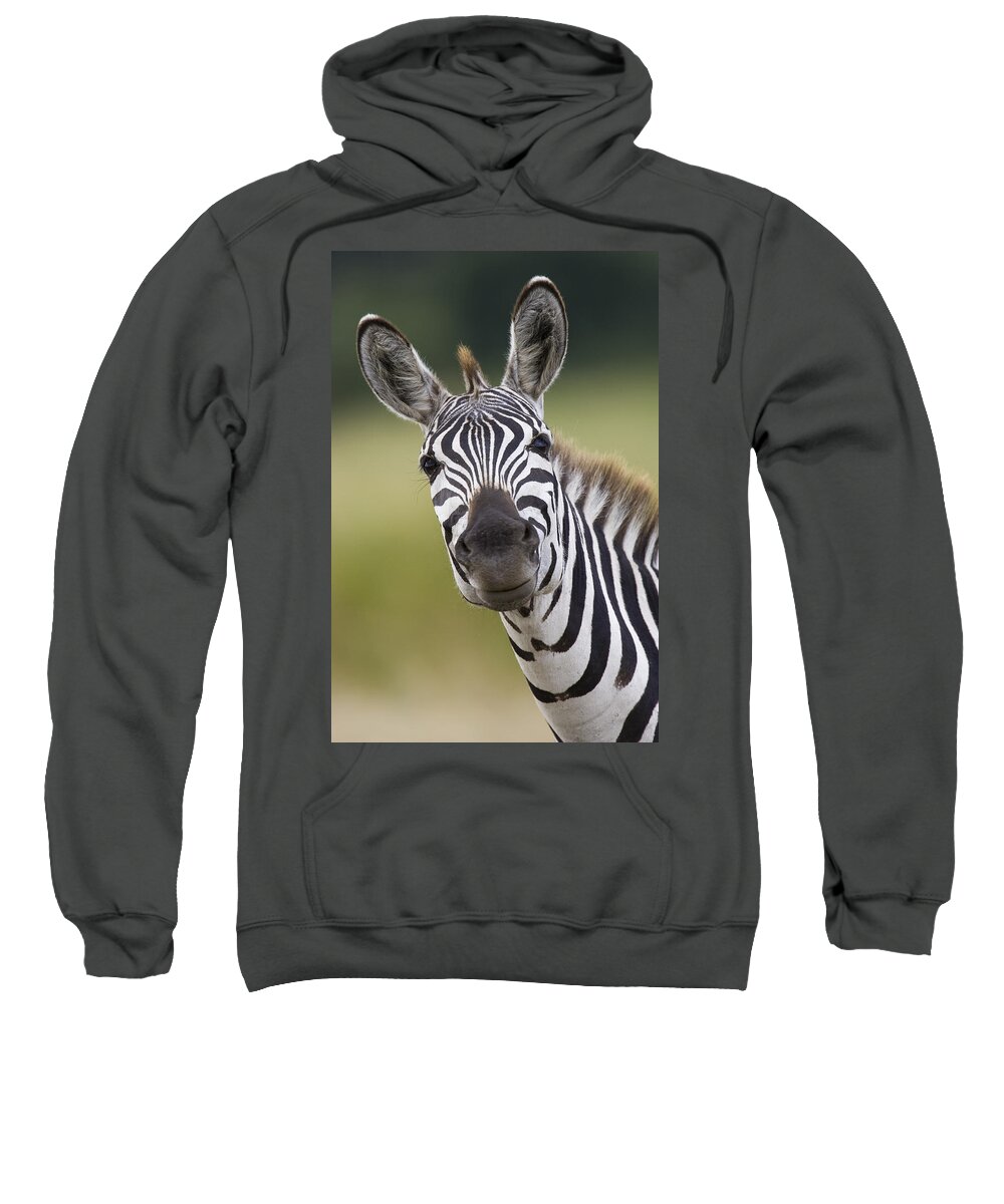 00784113 Sweatshirt featuring the photograph Smiling Burchells Zebra by Suzi Eszterhas