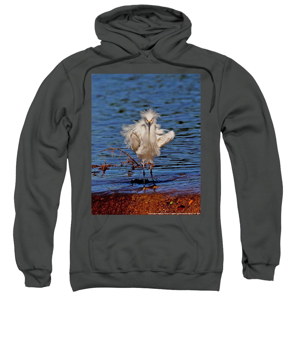 Snowy Egret Sweatshirt featuring the photograph Snowy Egret With Yellow Feet by Tom Janca