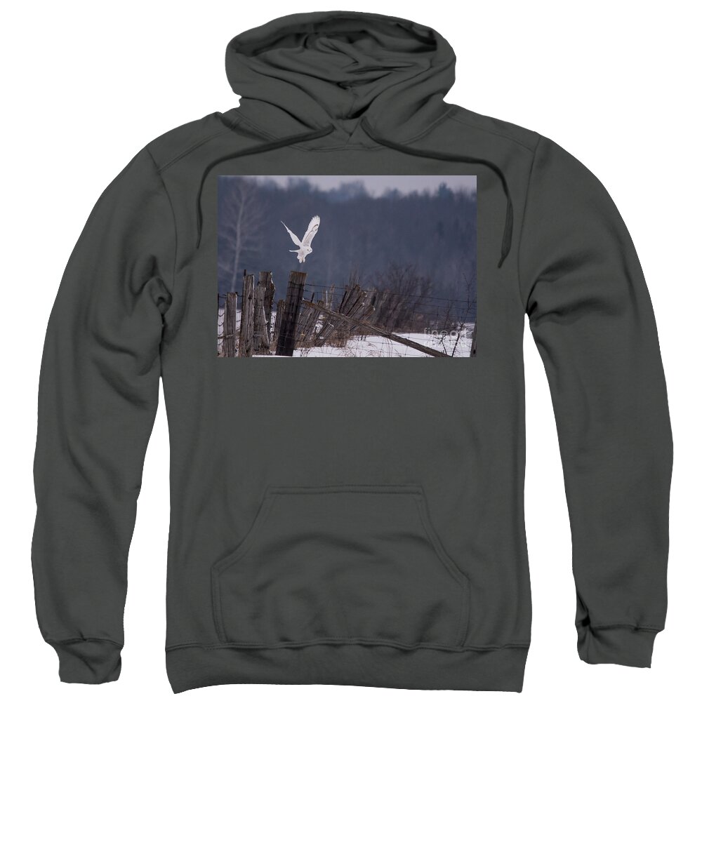 Field Sweatshirt featuring the photograph Snowy Lift Off by Cheryl Baxter