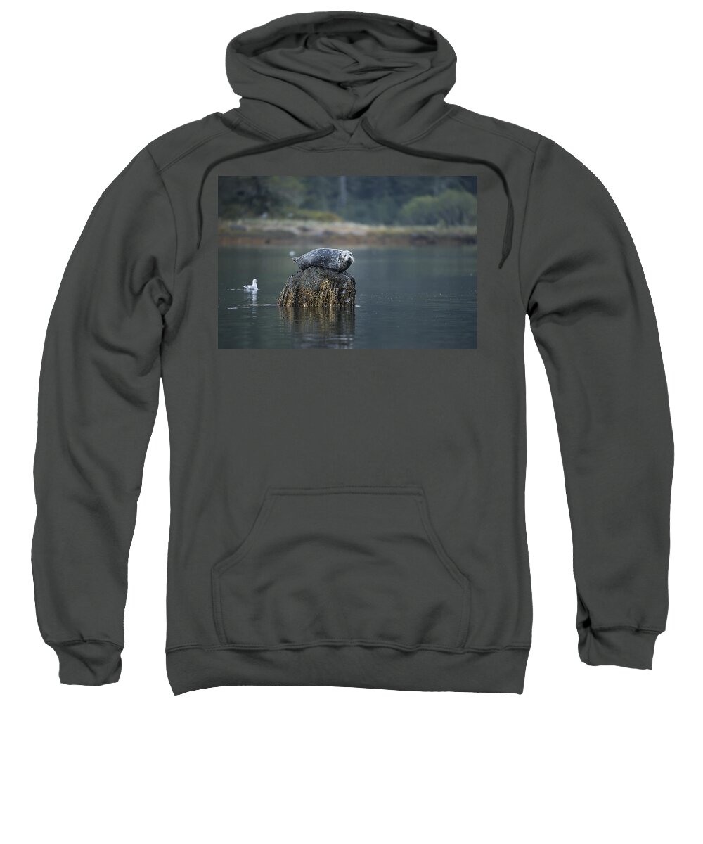 Seal Sweatshirt featuring the photograph Some Days Are Like This by Bill Cubitt