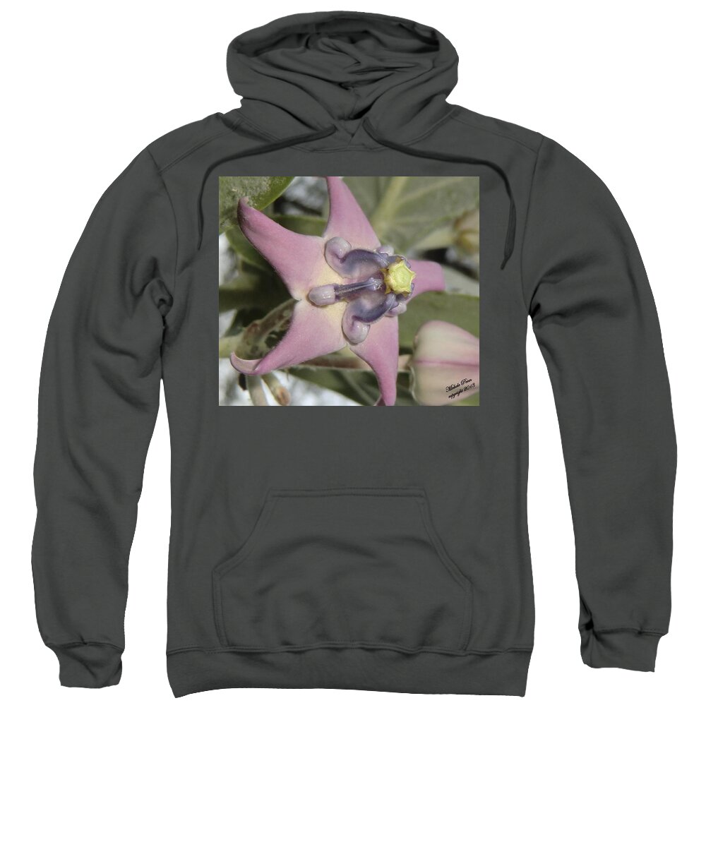 Unusual Sweatshirt featuring the photograph Soulful Star by Michele Penn