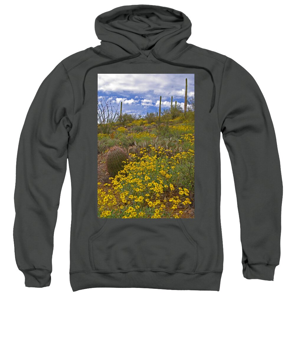 Spring Sweatshirt featuring the photograph Spring in the Desert by Will Wagner