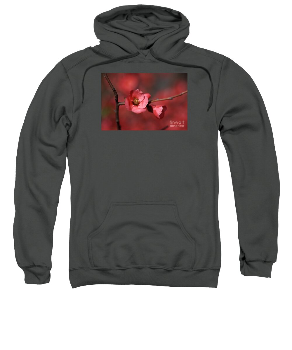 Red Sweatshirt featuring the photograph Spring Richness - Flowering Quince by Joy Watson